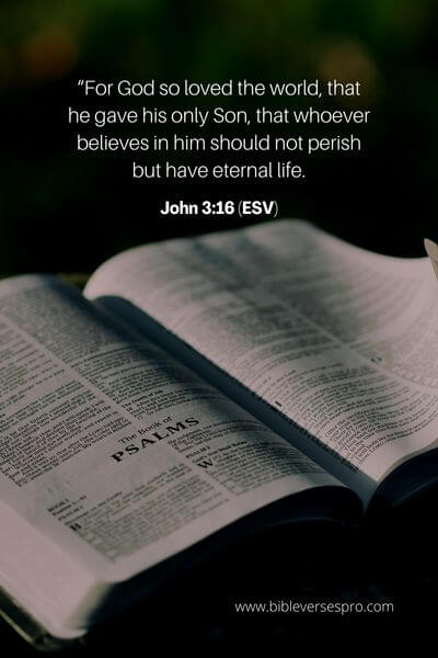 John 3_16 (Esv) 