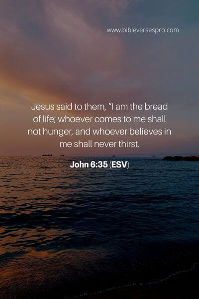 John 6_35 (ESV)