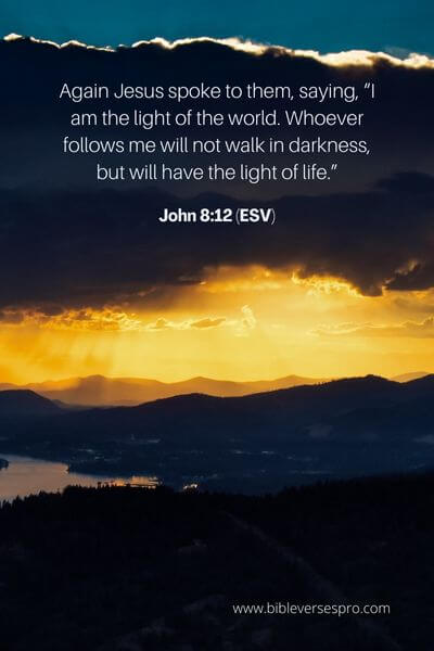 John 8_12 (ESV)