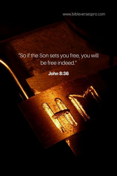 John 8_36
