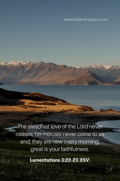 Lamentations 3_22-23 (Esv)