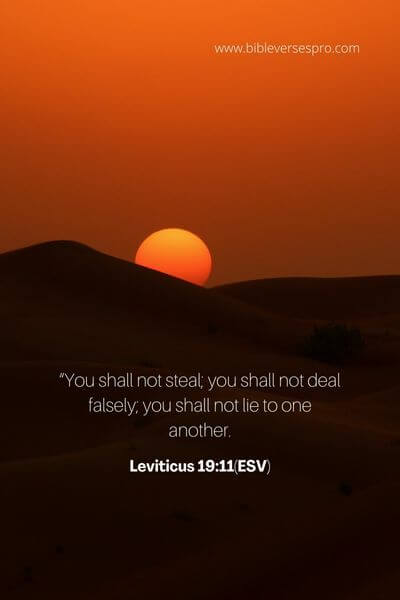 Leviticus 19_11(Esv)