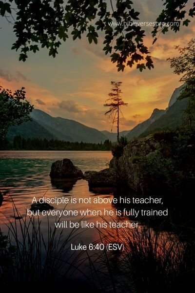 Luke 6_40 (Esv)