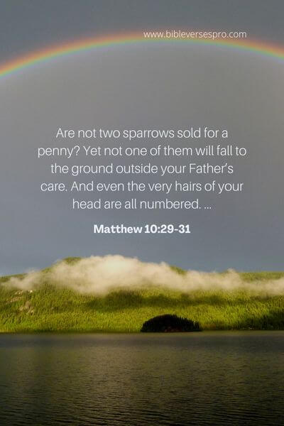 Matthew 10_29-31