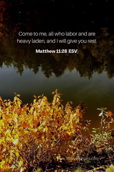 Matthew 11_28 (Esv)