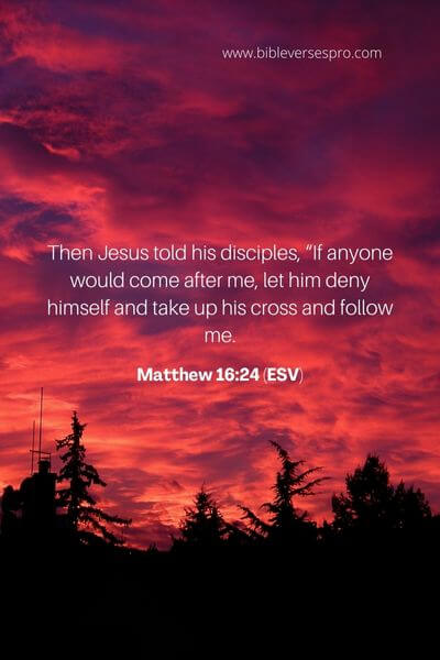 Matthew 16_24 (Esv)