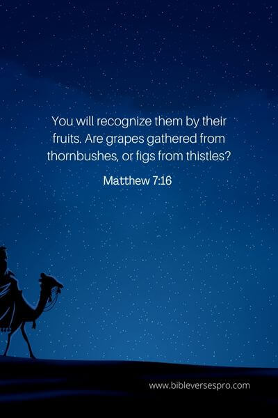 Matthew 7_16  