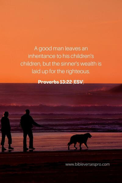Proverbs 13_22 (Esv)