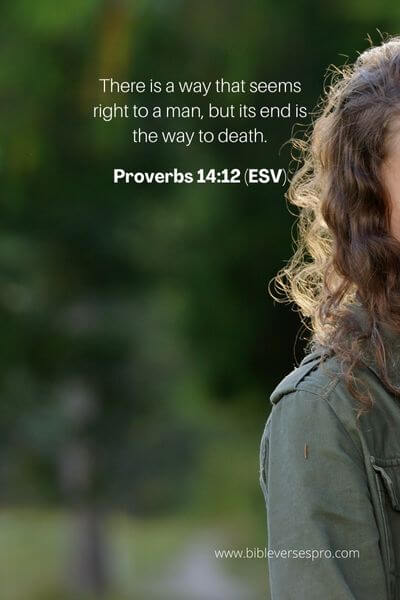 Proverbs 14_12 (Esv)