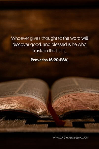 Proverbs 16_20 (Esv)