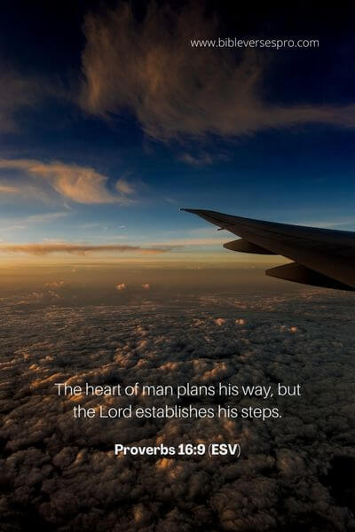 Proverbs 16_9 (ESV) 