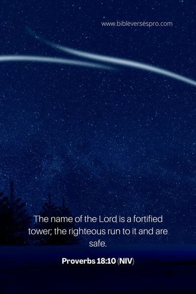 Proverbs 18_10 (NIV)