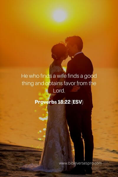 Proverbs 18_22 (Esv)