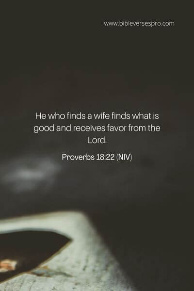 Proverbs 18_22 (Niv)