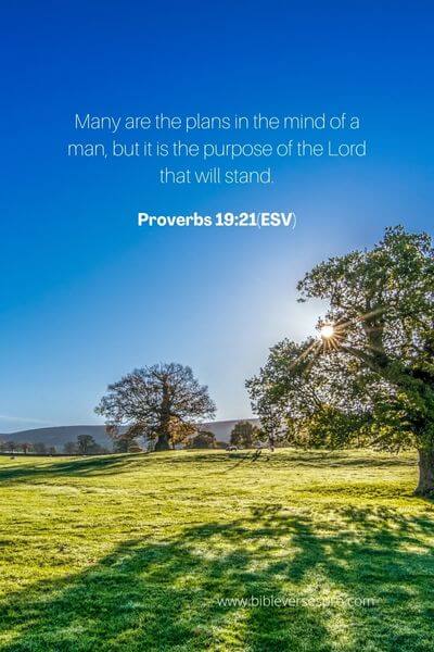 Proverbs 19_21(Esv)