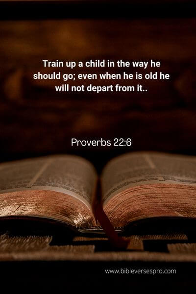 Proverbs 22_6