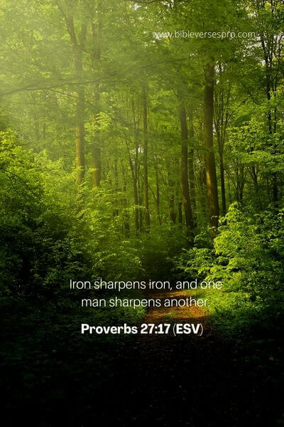 Proverbs 27_17 (Esv)