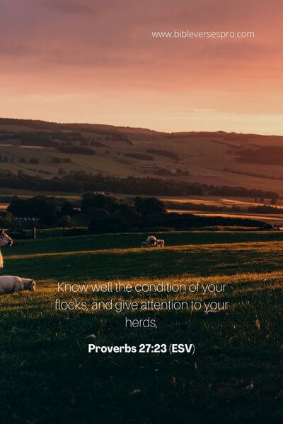 Proverbs 27_23 (Esv)