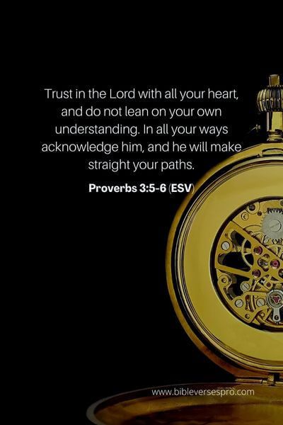 Proverbs 3_5-6 (ESV)
