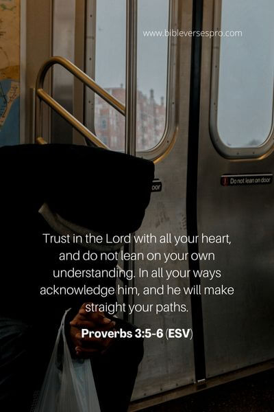 Proverbs 3_5-6 (Esv)