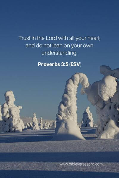 Proverbs 3_5 (ESV)