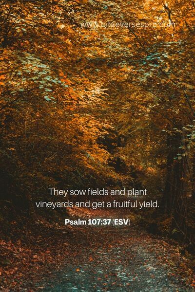 Psalm 107_37 (Esv)