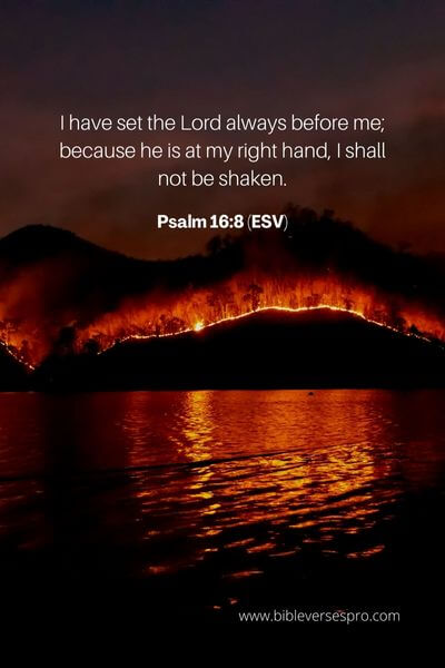 Psalm 16_8 (Esv)