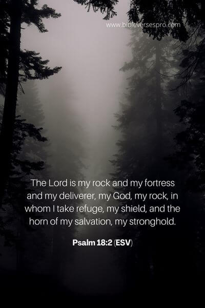 Psalm 18_2 (Esv)
