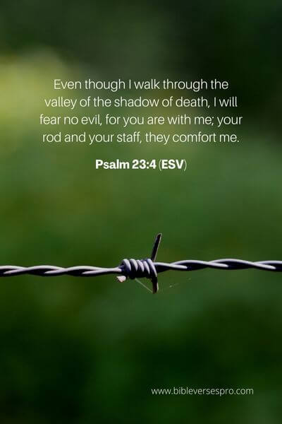 Psalm 23_4 (Esv)