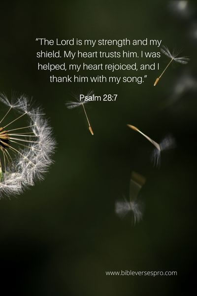 Psalm 28_7