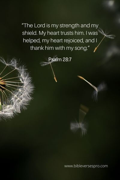 Psalm 28_7