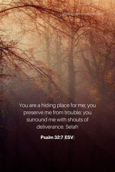 Psalm 32_7 (ESV)