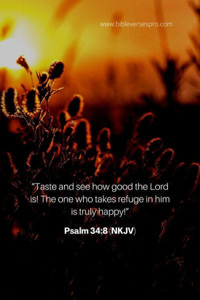 Psalm 34_8 (Nkjv)
