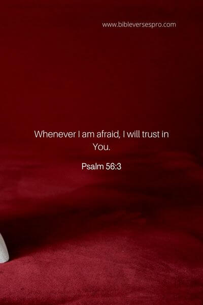 Psalm 56_3