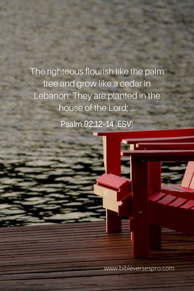 Psalm 92_12-14 (Esv)
