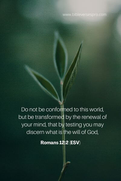 Romans 12_2 (ESV)