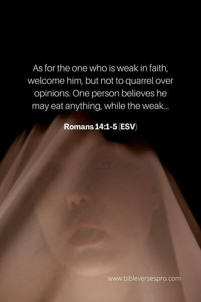 Romans 14_1-5 (Esv)