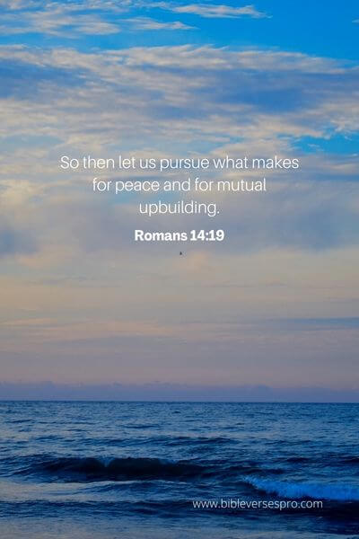 Romans 14_19