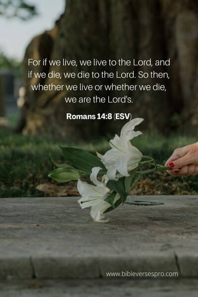 Romans 14_8 (Esv)