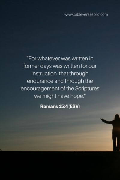 Romans 15_4 (Esv)