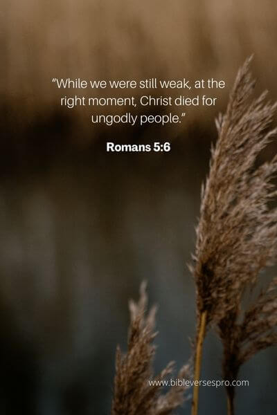 Romans 5_6