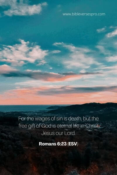 Romans 6_23 (ESV)