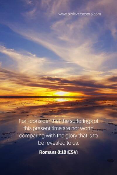Romans 8_18 (ESV)