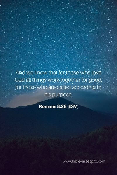 Romans 8_28 (ESV) (1)
