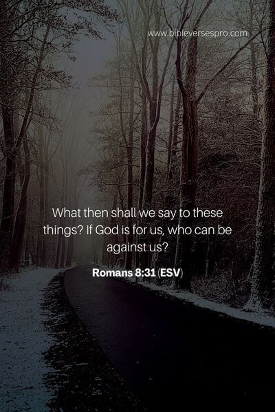 Romans 8_31 (Esv)