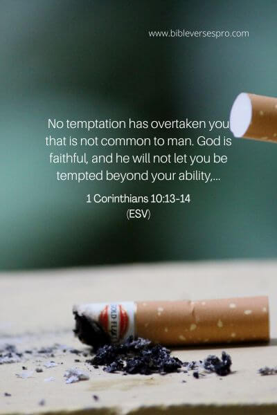 1 Corinthians 10_13-14 (Esv)