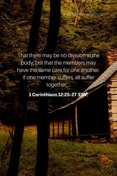 1 Corinthians 12_25-27 (ESV)