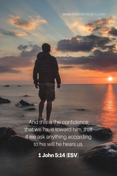 1 John 5_14 (ESV)