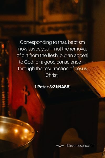 1 Peter 3_21(Nasb)