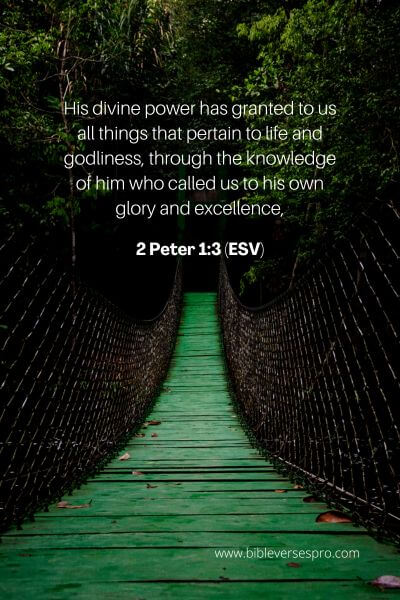 2 Peter 1_3 (ESV)